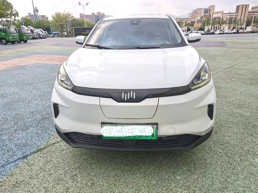 2020 Weltmeister EX5 — UZA Inspected SUV